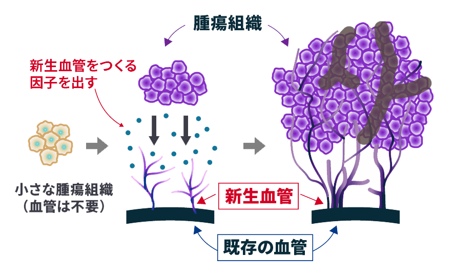 がんができるプロセス