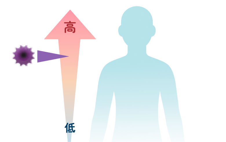 リスク検査で何がわかるか