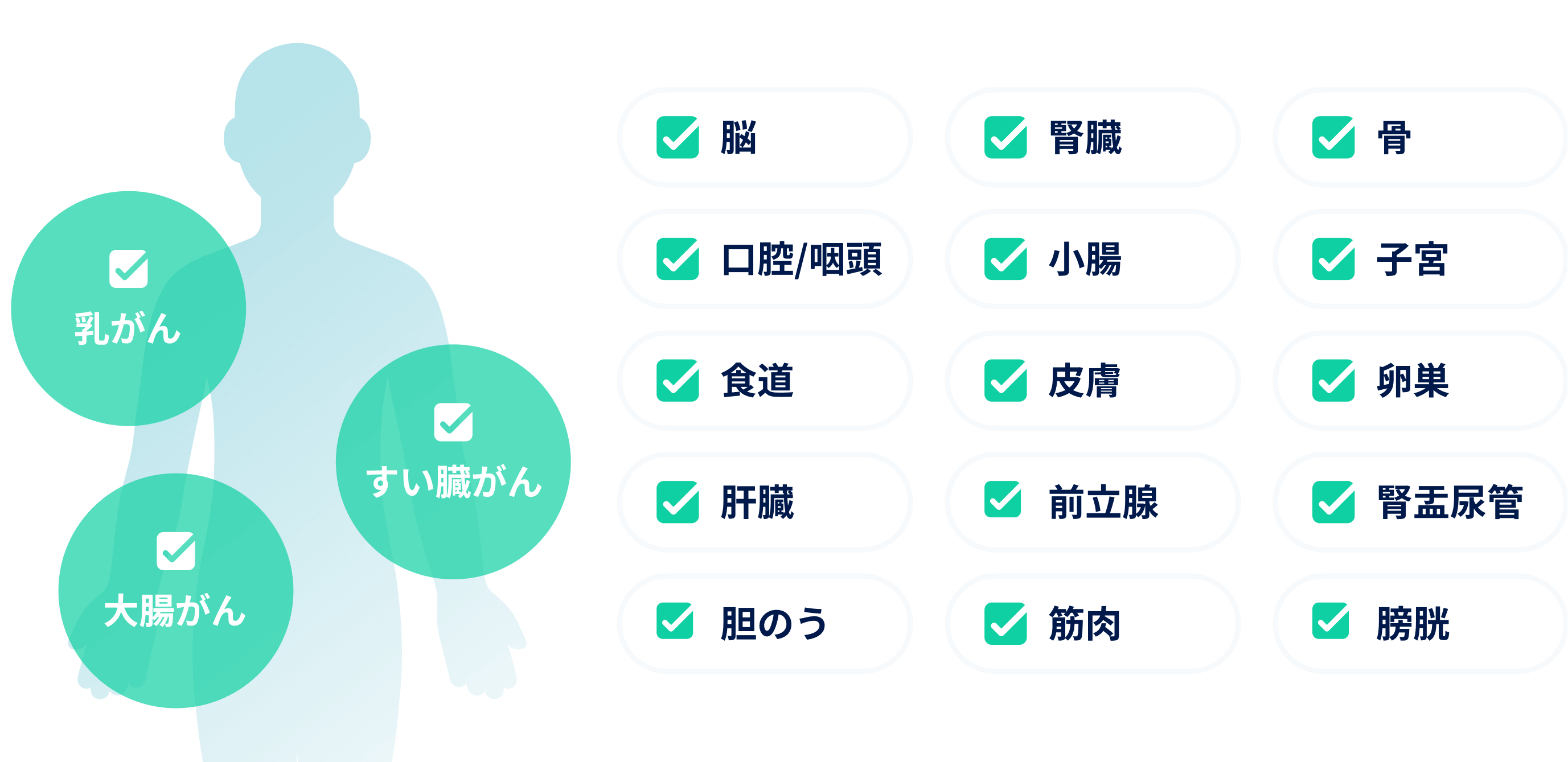 マイクロCTC検査は非常に高い精度でスクリーニング可能